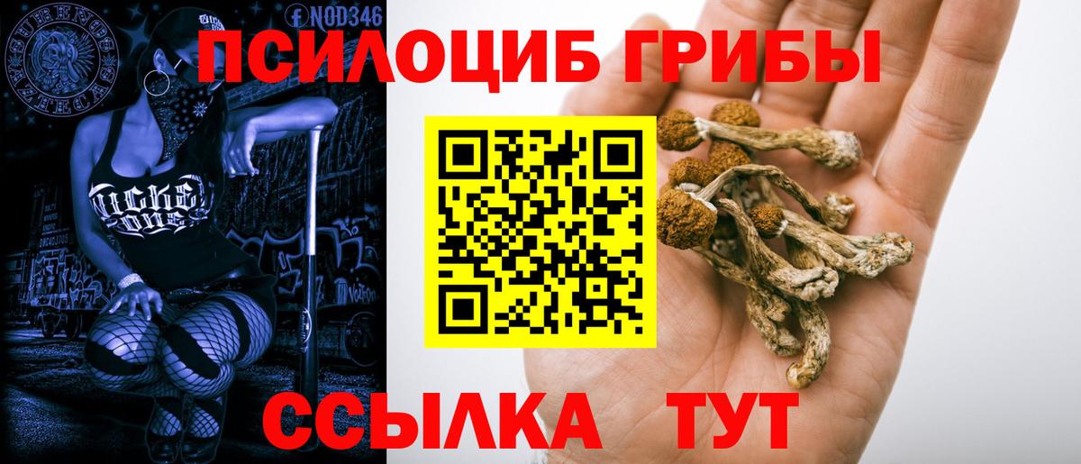Псилоцибиновые грибы Psilocybine cubensis  Вход с VPN  Крымск 